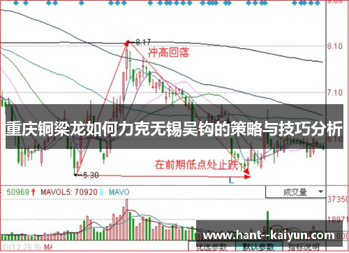 重庆铜梁龙如何力克无锡吴钩的策略与技巧分析