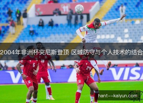 2004年非洲杯突尼斯登顶 区域防守与个人技术的结合
